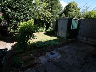 Picture 15